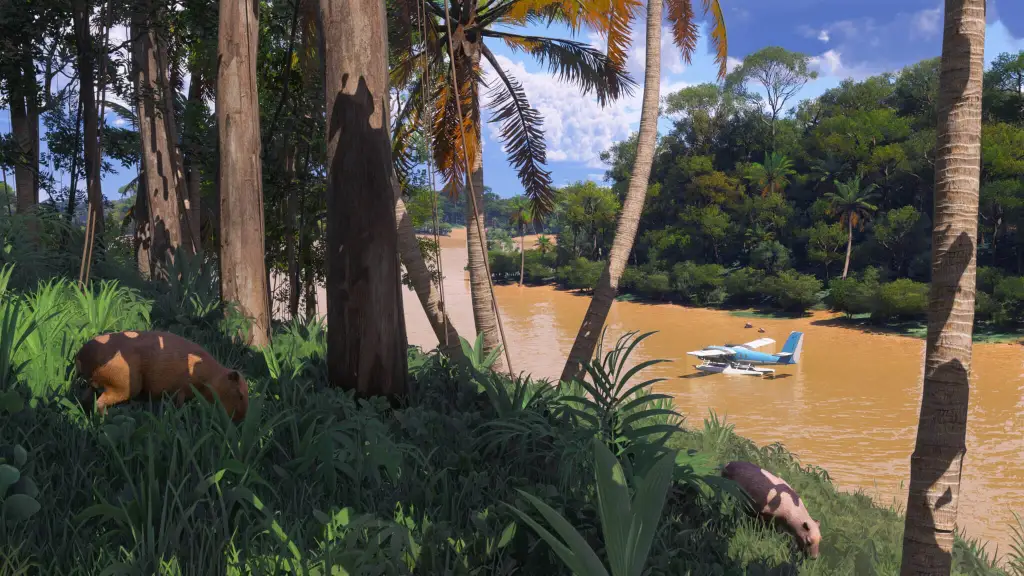 Microsoft Flight Simulator