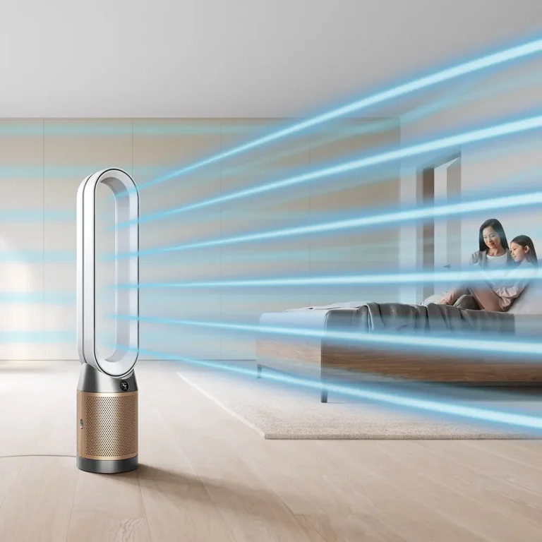 Dyson-Polish-Allergy