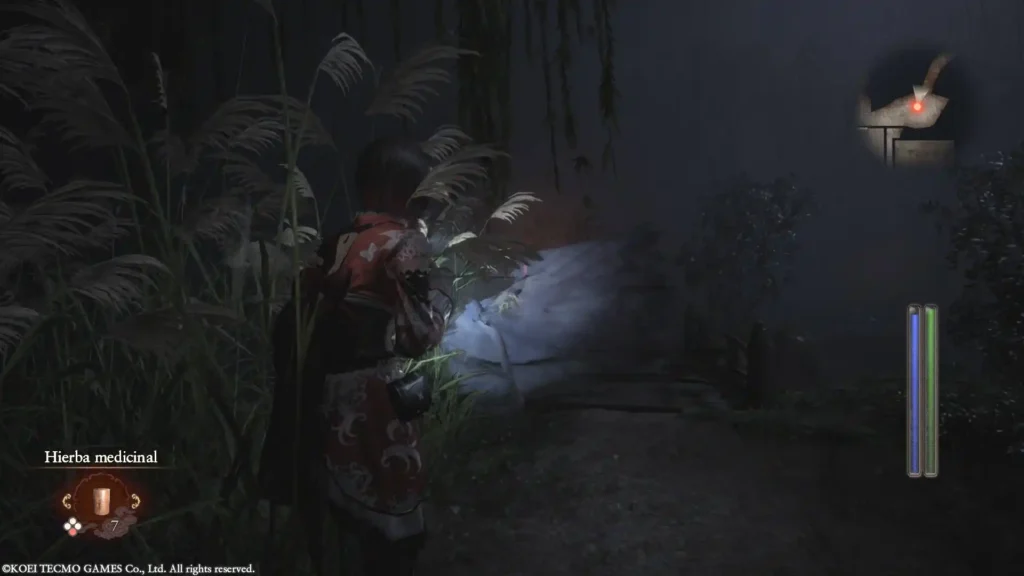 Fatal-Frame-II-Crimson-Butterfly-Remake